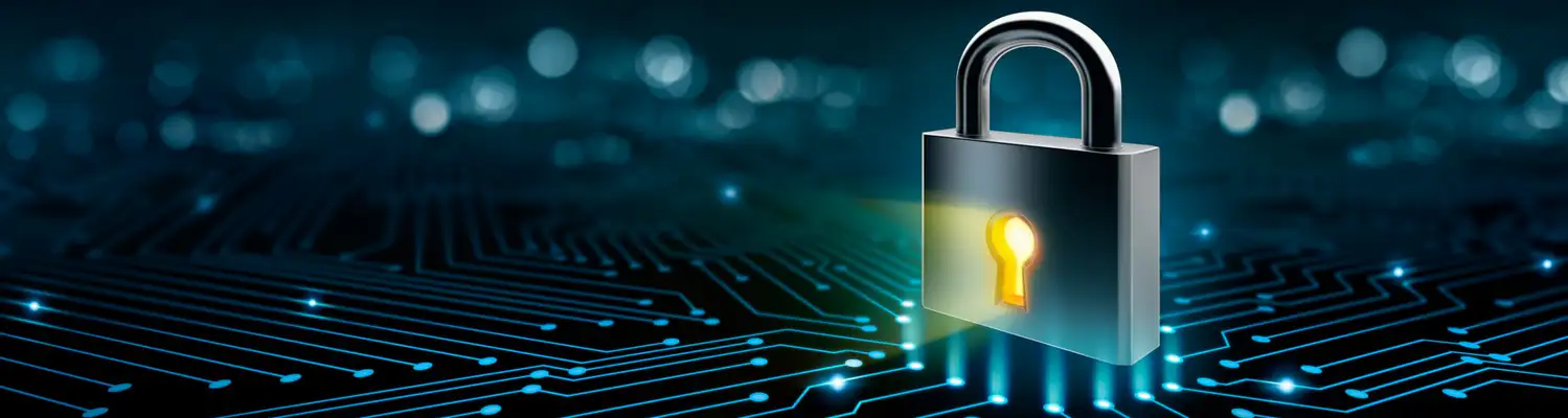 Information security